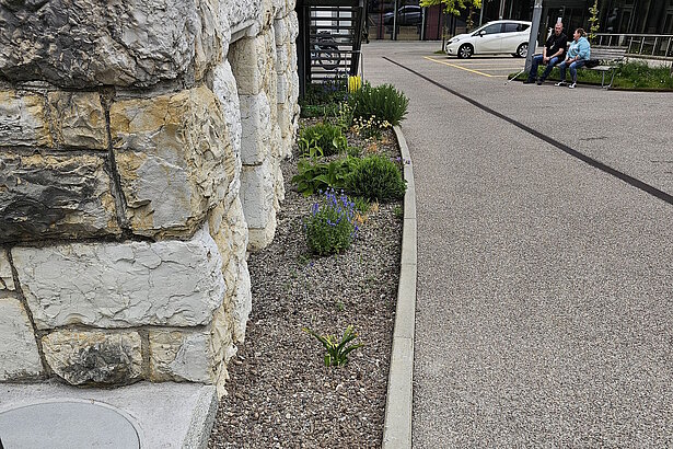 Sanierung Fassade Haus A