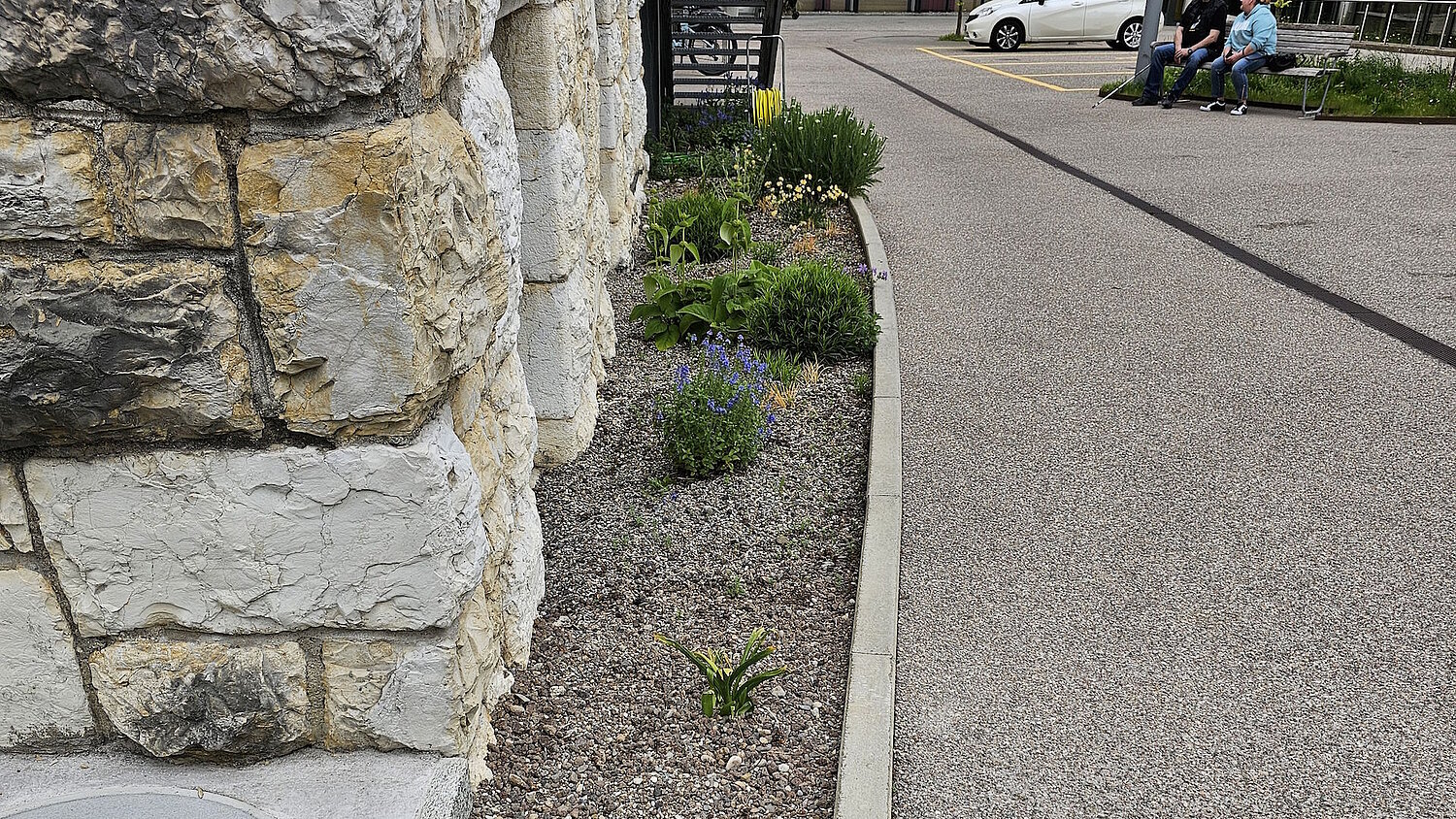 Sanierung Fassade Haus A