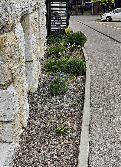 Sanierung Fassade Haus A