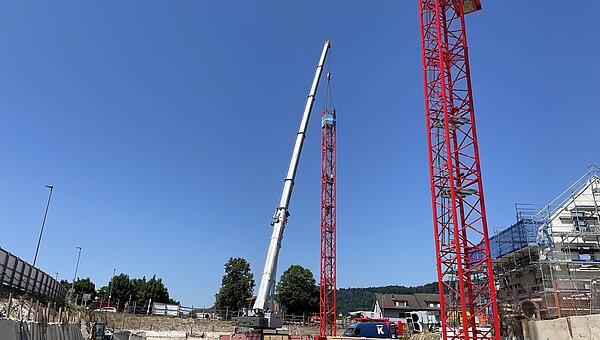 Auf Los geht’s los in Vogelsang!