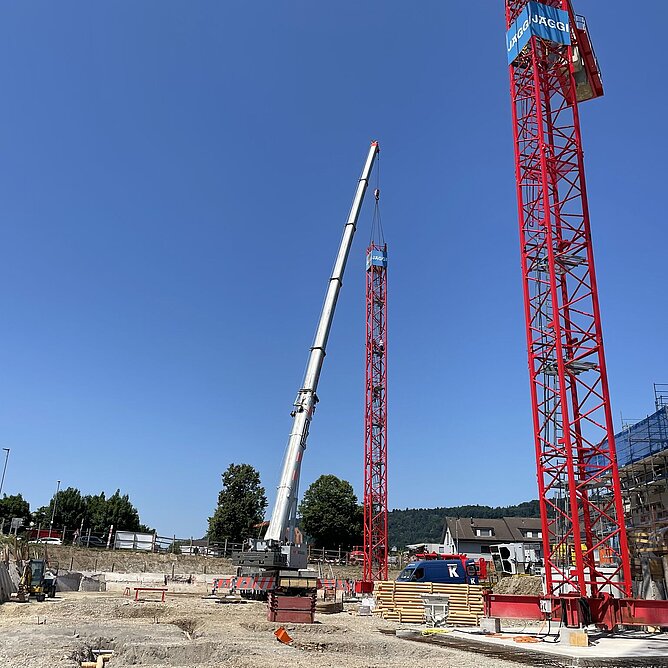 Auf Los geht’s los in Vogelsang!