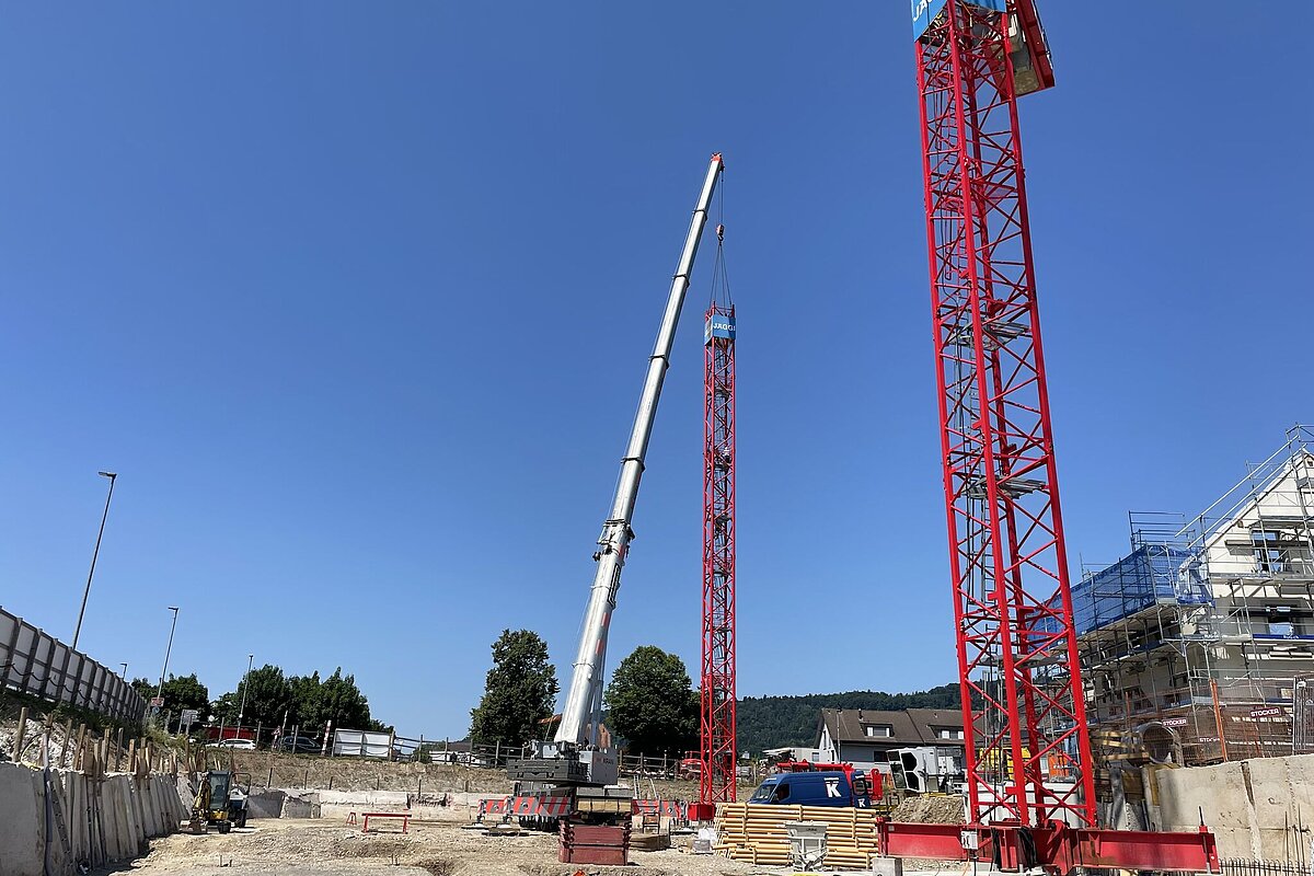 Auf Los geht’s los in Vogelsang!